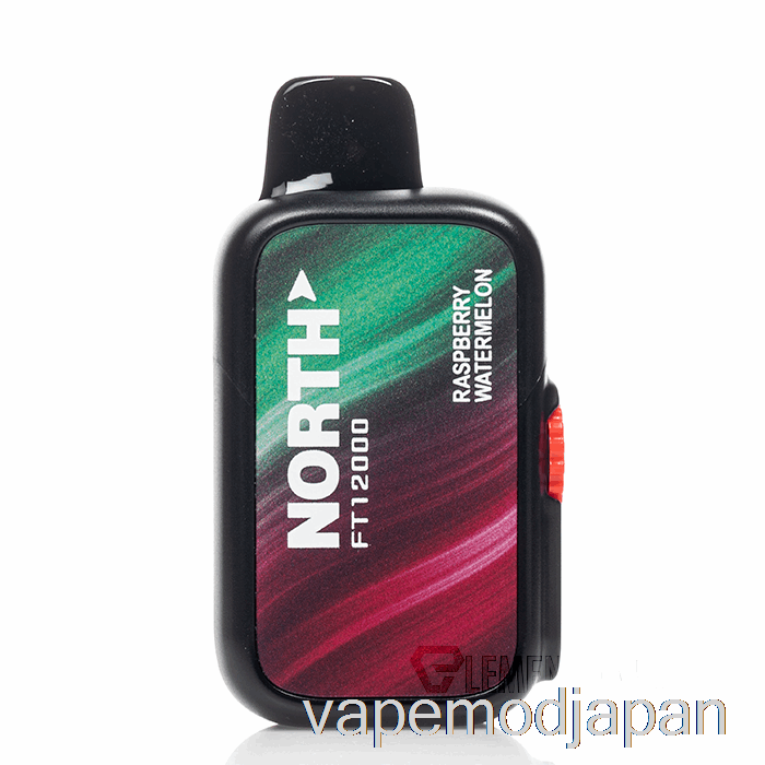 VAPE MOD NORTH FT12000 使い捨て ラズベリー スイカ
